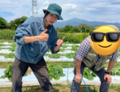 平塚の畑での農作業